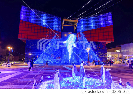 Osaka, Kaiyukan, Illuminations 38961864