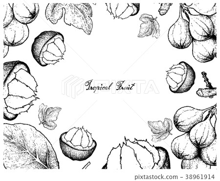 Frame of Sweet Ripe Santol and Cluster Fig Fruits Frame of Sweet Ripe Santol and Cluster Fig Fruits 38961914
