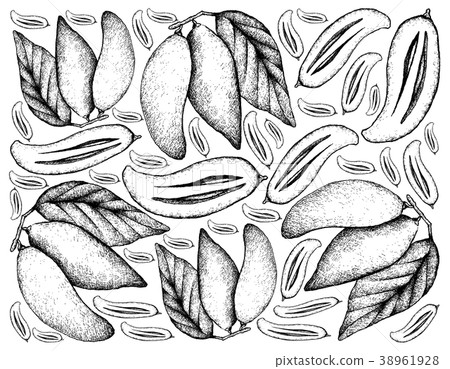 Hand Drawn Background of Ripe Madan Fruits 38961928