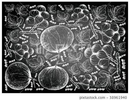 Hand Drawn Santol and Cluster Fig on Chalkboard 38961940