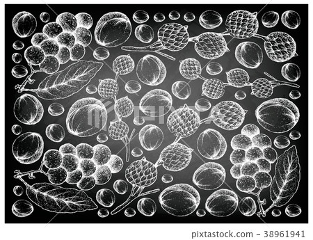 Hand Drawn Rattan and Langsat Fruits on Chalkboard 38961941