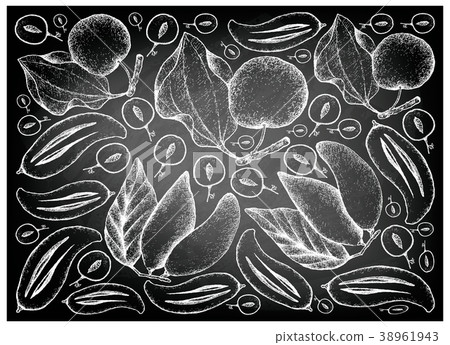 Indian Jujube and Madan Fruits on Chalkboard 38961943