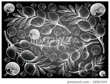 Star Apple and Elaeocarpus Hygrophilus Fruits 38961945