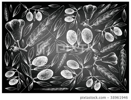 Java Rose Apple and Olive Fruits on Chalkboard Java Rose Apple and Olive Fruits on Chalkboard 38961946