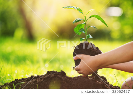 Hand of a child with shovel taking care of a 38962437