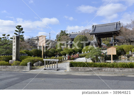 Myomanji 38964821