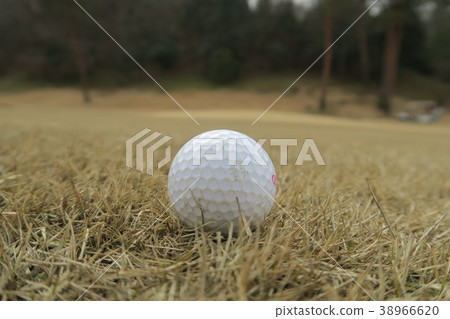 高爾夫球 高爾夫球 38966620