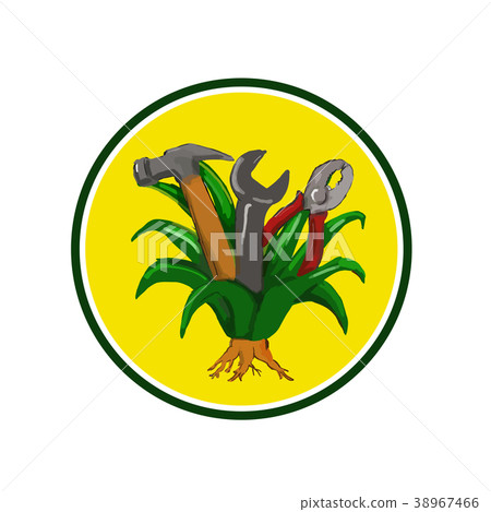 Agave With Hammer Spanner Pliers Water Color Agave With Hammer Spanner Pliers Water Color 38967466