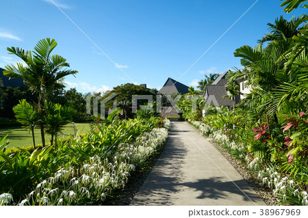 Resort, Fiji, Travel, Resort Resort, Fiji, Travel, Resort 38967969