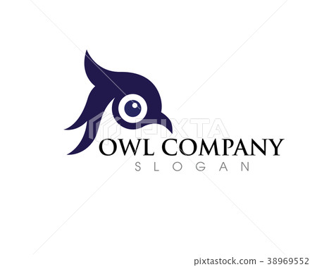 owl bird illustration logo template owl bird illustration logo template 38969552