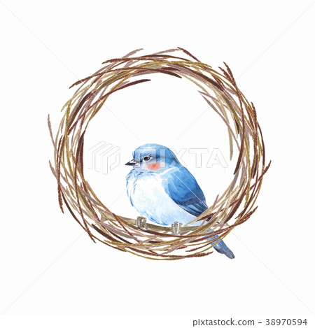 Bird and nest. Watercolor painting Bird and nest. Watercolor painting 38970594