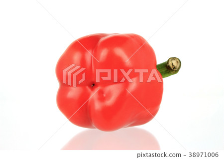 bell pepper isolated on white background bell pepper isolated on white background 38971006