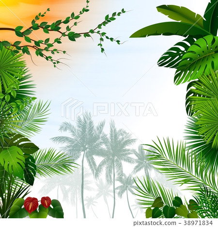 Tropical landscape with palm trees and leaves 38971834