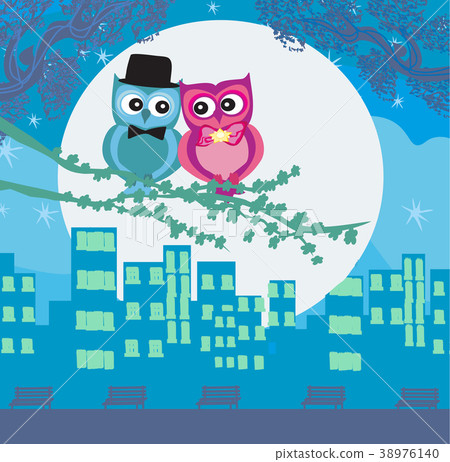 Owls in love , sweet card design. - Stock Illustration [38976140] - PIXTA