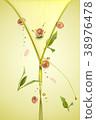 Argan oil splash with argan fruits 38976478