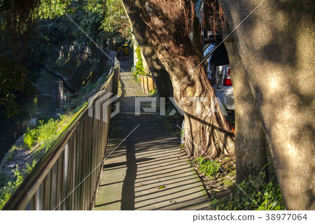 Company, stream, park, community, stream, park, Community, Stream, Park, 38977064