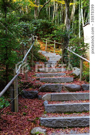 Takiguchi Temple-Autumn leaves Takiguchi Temple-Autumn leaves 38978399