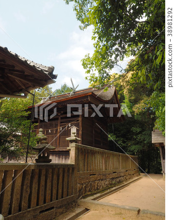 Katsurahama Shrine Main Hall 38981292