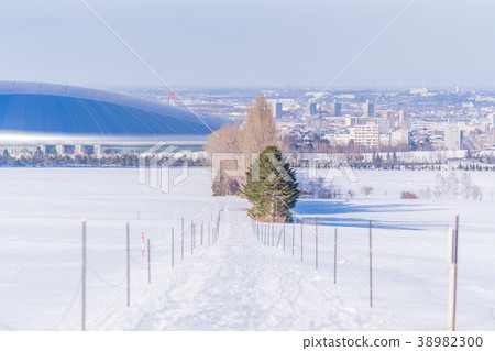 從北海道札幌Hitsujigaoka天文台的雪場面在冬天 從北海道札幌Hitsujigaoka天文台的雪場面在冬天 38982300