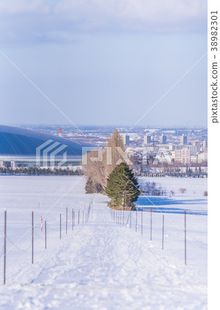 Snow scene from Hokkaido Sapporo Hitsujigaoka observatory in winter 38982301