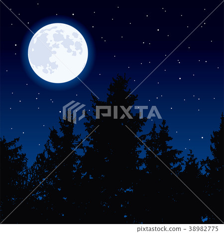 vector  moon in night sky and forest trees 38982775