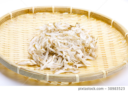 Burdock's scribbling 38983523