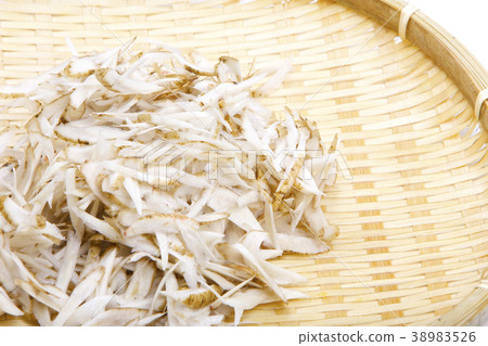 Burdock's scribbling 38983526