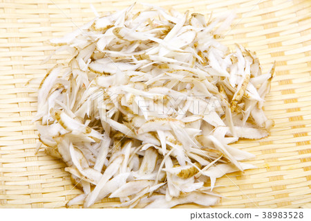 Burdock's scribbling 38983528