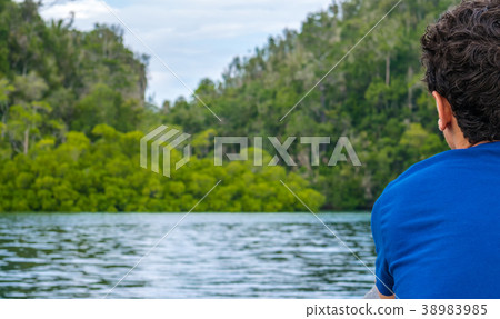 Traveler looking into Mangrove Jungle near Warikaf 38983985