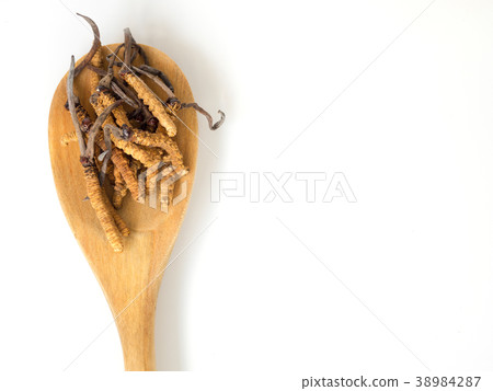 Group of mushroom cordyceps this is a herbs 38984287