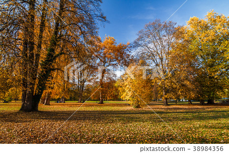 Autumn castle park Budatin near by Zilina. 38984356