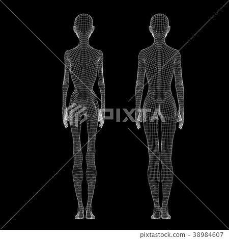 Anorexia nervosa image wire frame perming3DCG illustration material 38984607