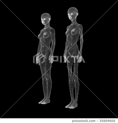 Anorexia nervosa image wire frame perming3DCG illustration material 38984608