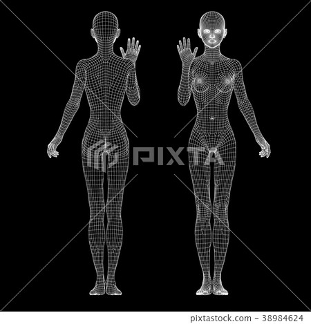 Yoga pose women wire frame perming3DCG illustrations material 38984624