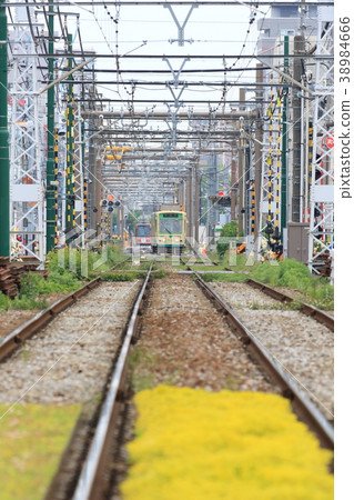 Toden Arakawa線Arakawa車庫前面 Toden Arakawa線Arakawa車庫前面 38984666