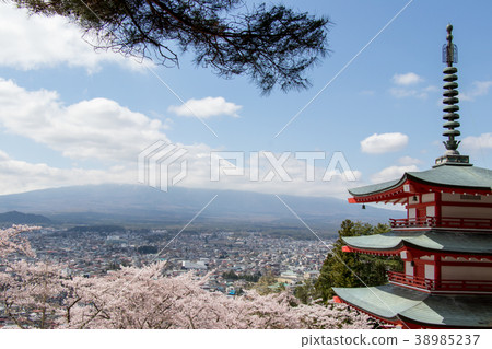 Chureito pagoda and cherry blossom and mount fuji 38985237