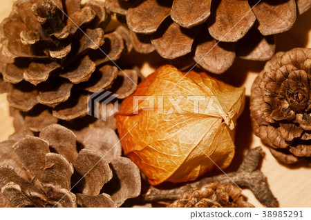 Autumn objects Autumn objects 38985291