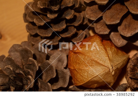 Autumn objects Autumn objects 38985292