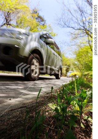 Tochigi Prefecture Nasushiobara City Green Road Tanpopo Car (May) Tochigi Prefecture Nasushiobara City Green Road Tanpopo Car (May) 38985955