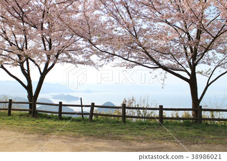 在佐倉的瀨戶內海 38986021