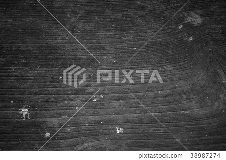 Black and white wall wooden texture background. 38987274