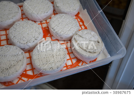 aging cheese heads aging cheese heads 38987675