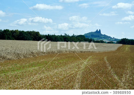 Ruin of medieval gothic castle Trosky 38988930