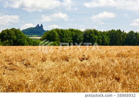 Ruin of medieval gothic castle Trosky 38988932