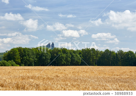 Ruin of medieval gothic castle Trosky Ruin of medieval gothic castle Trosky 38988933