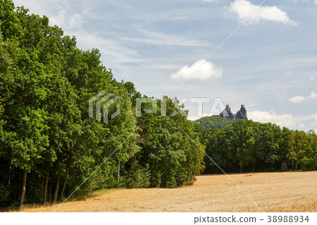 Ruin of medieval gothic castle Trosky 38988934