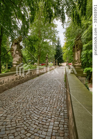 ruin of the Valdstejn gothic castle ruin of the Valdstejn gothic castle 38988951