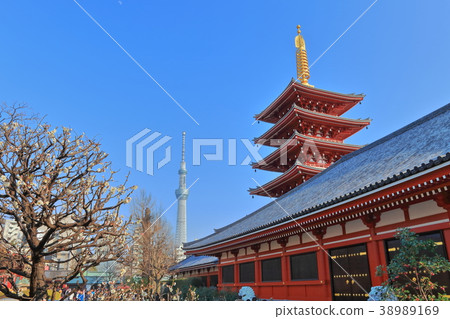 Senso-ji寺五層塔和東京天空樹 Senso-ji寺五層塔和東京天空樹 38989169