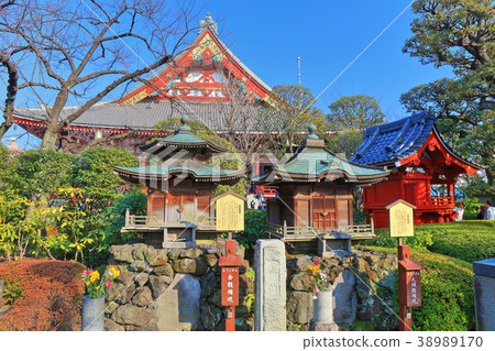 Golden Dragon and Sengoku Dragon in Sensoji Temple Golden Dragon and Sengoku Dragon in Sensoji Temple 38989170