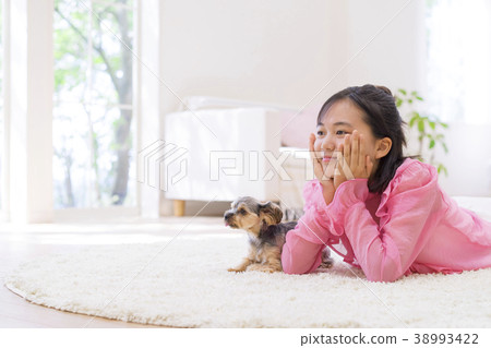Girl and yorkshire terrier 38993422